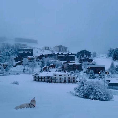 Studio Lumineux Avec Vue Et Acces Sur Les Pistes ! Coup De Coeur Valberg Dış mekan fotoğraf